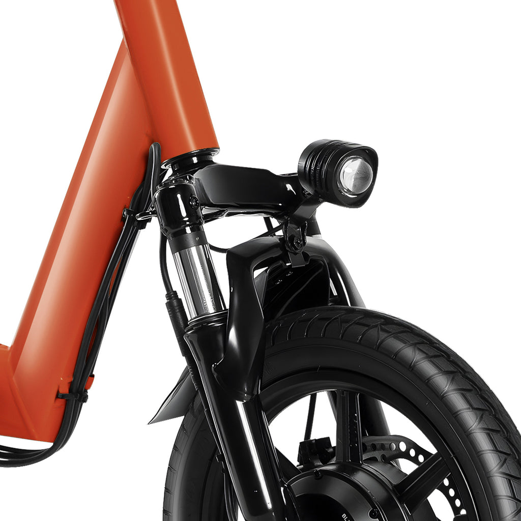 Electric Tricycle for Adults