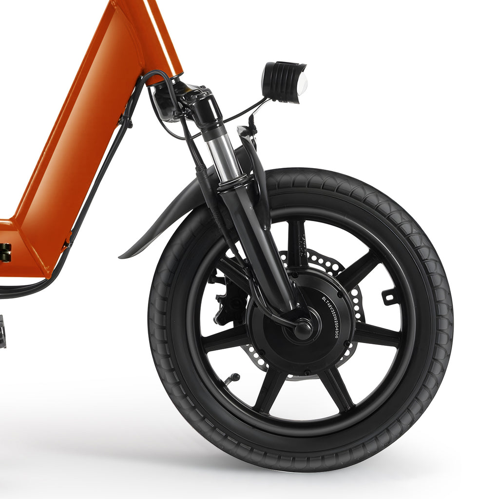 Electric Tricycle for Adults