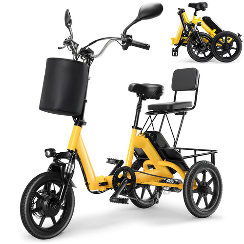 Electric Tricycle for Adults