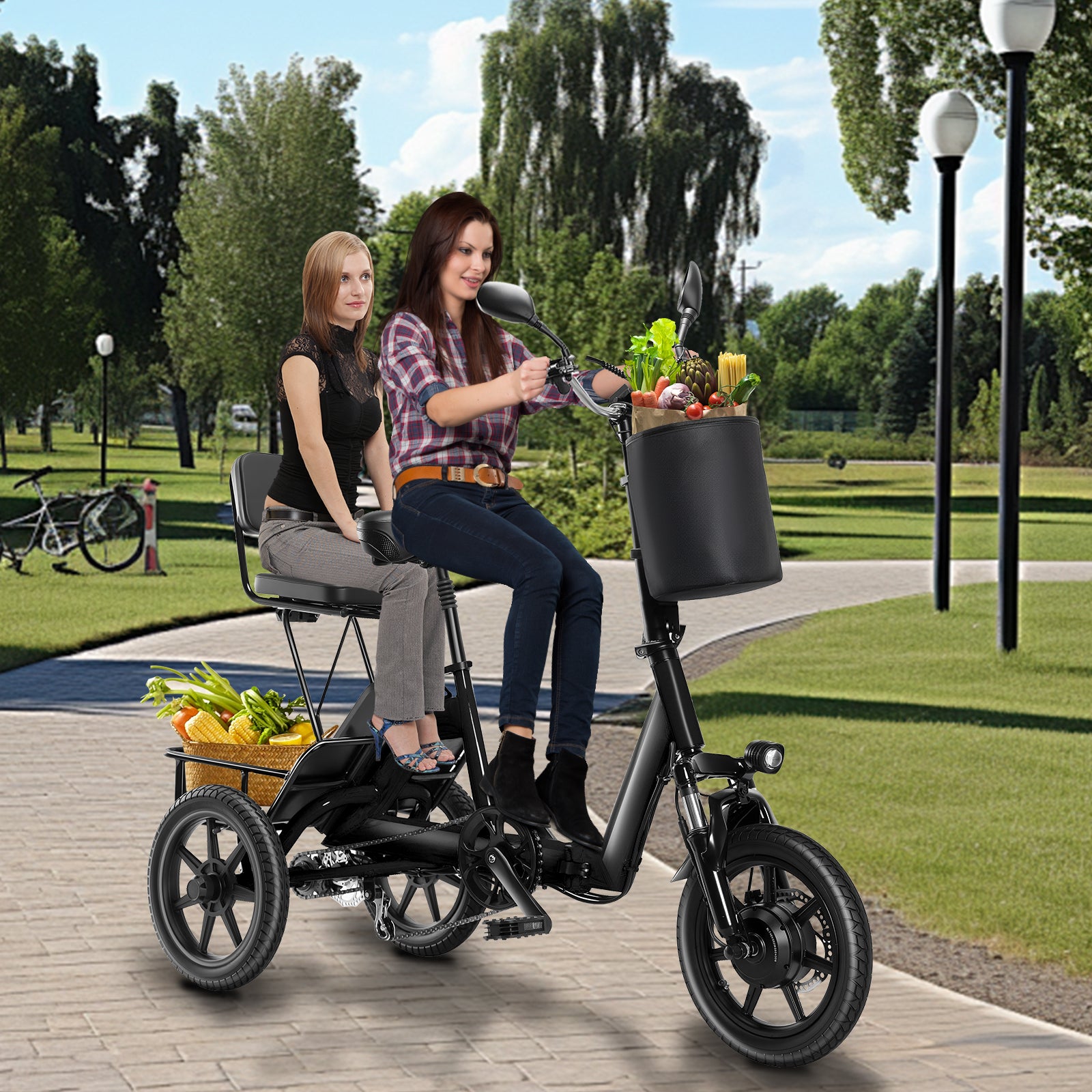 Electric Tricycle for Adults
