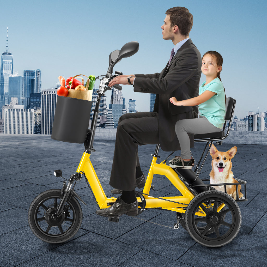 Electric Tricycle for Adults