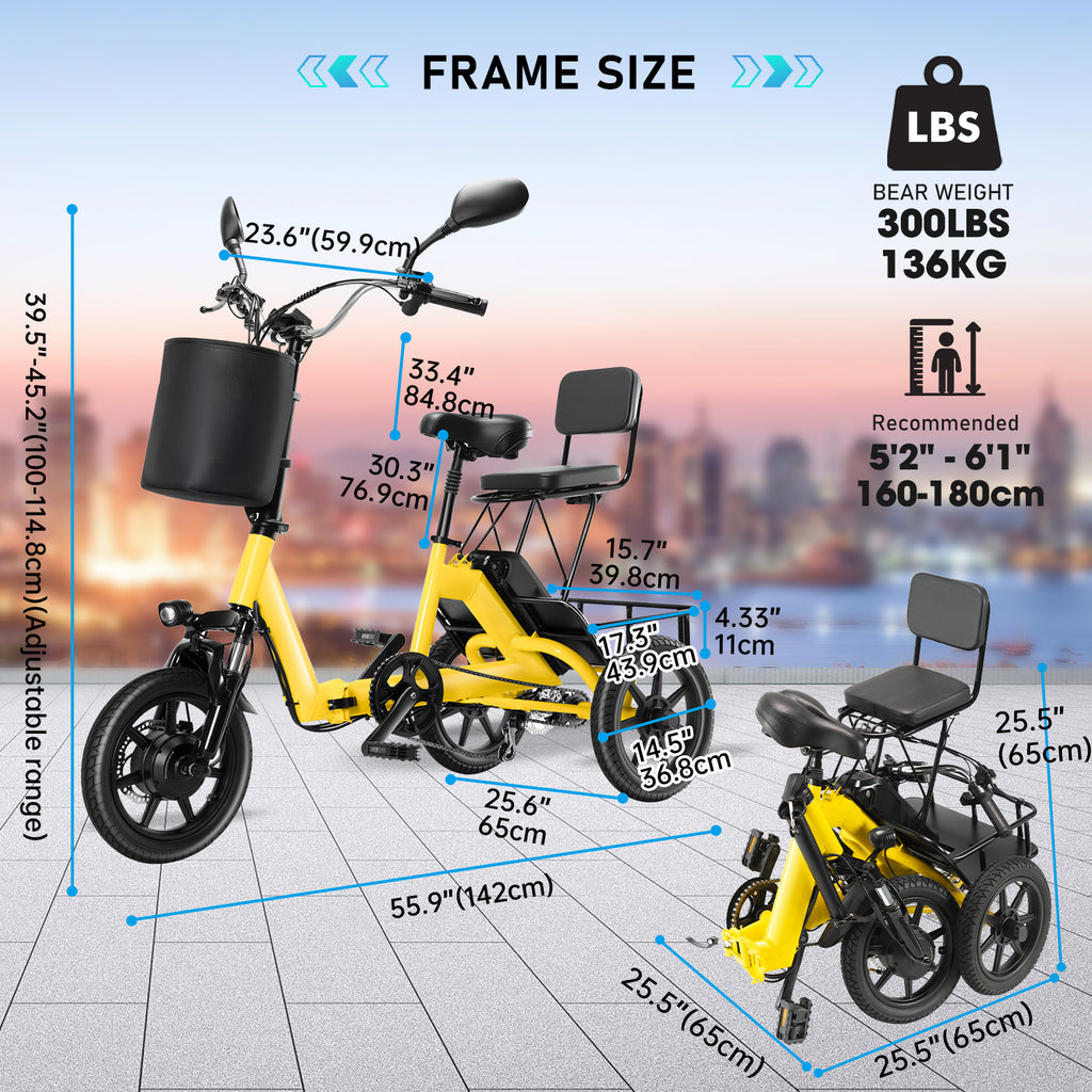 Electric Tricycle for Adults
