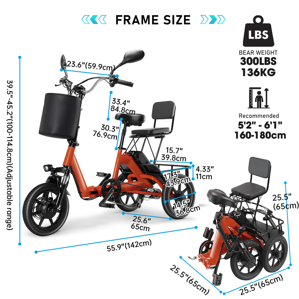 Electric Tricycle for Adults
