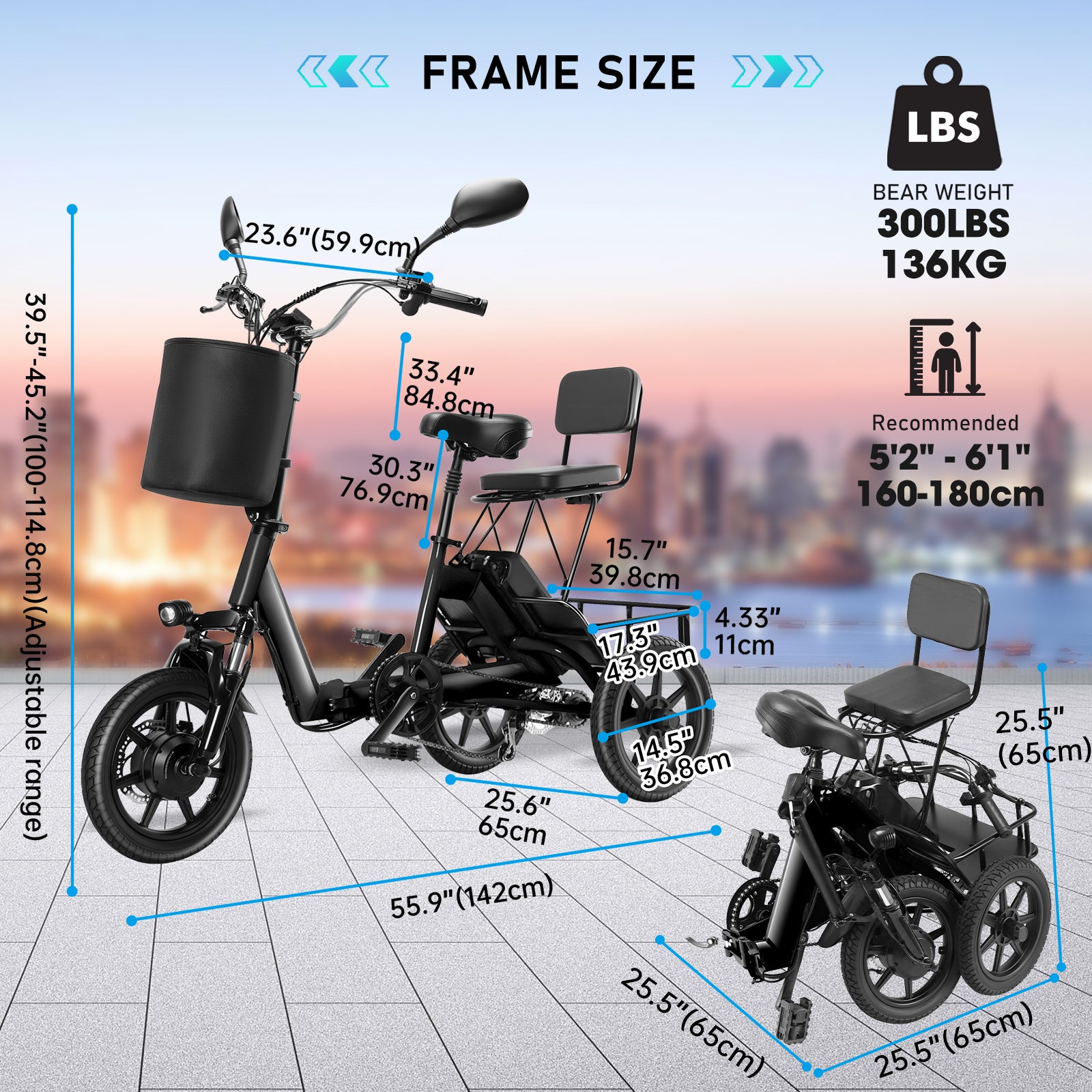 Electric Tricycle for Adults